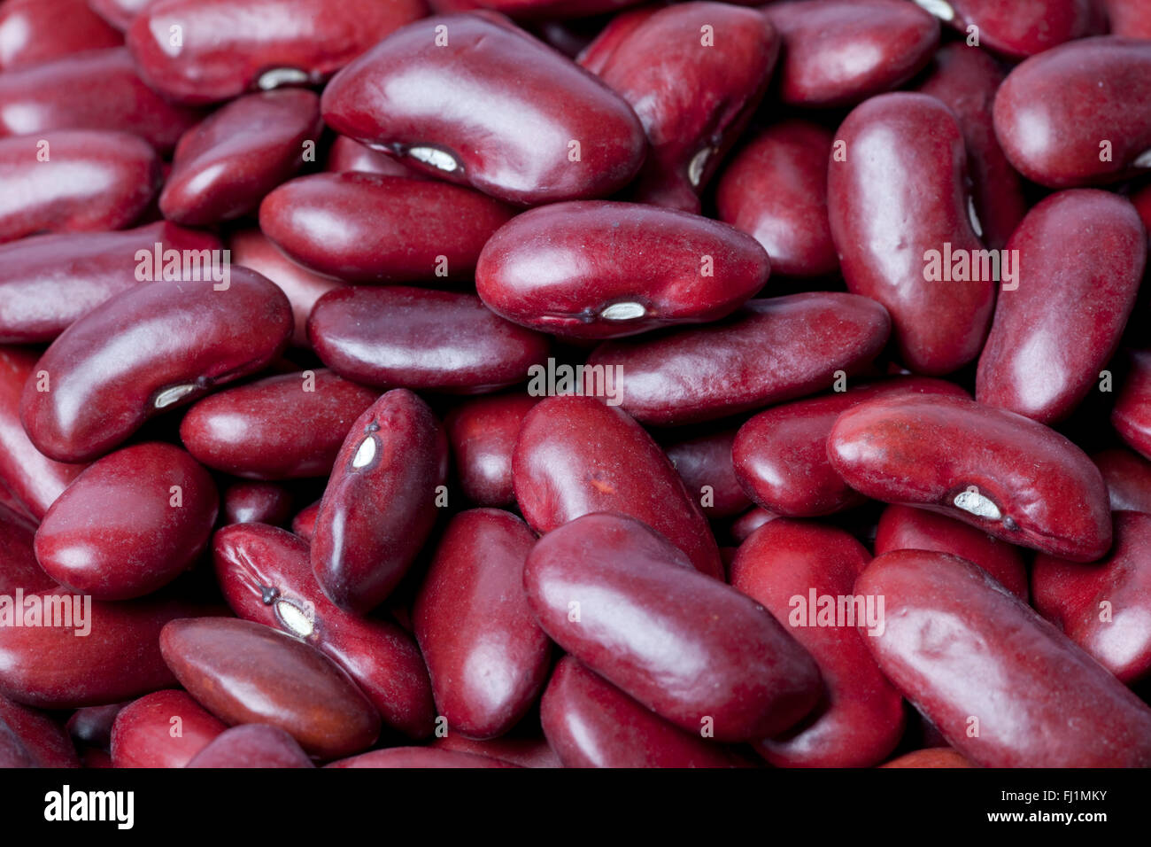 Rohe rote Kidney-Bohnen-full-frame Stockfoto