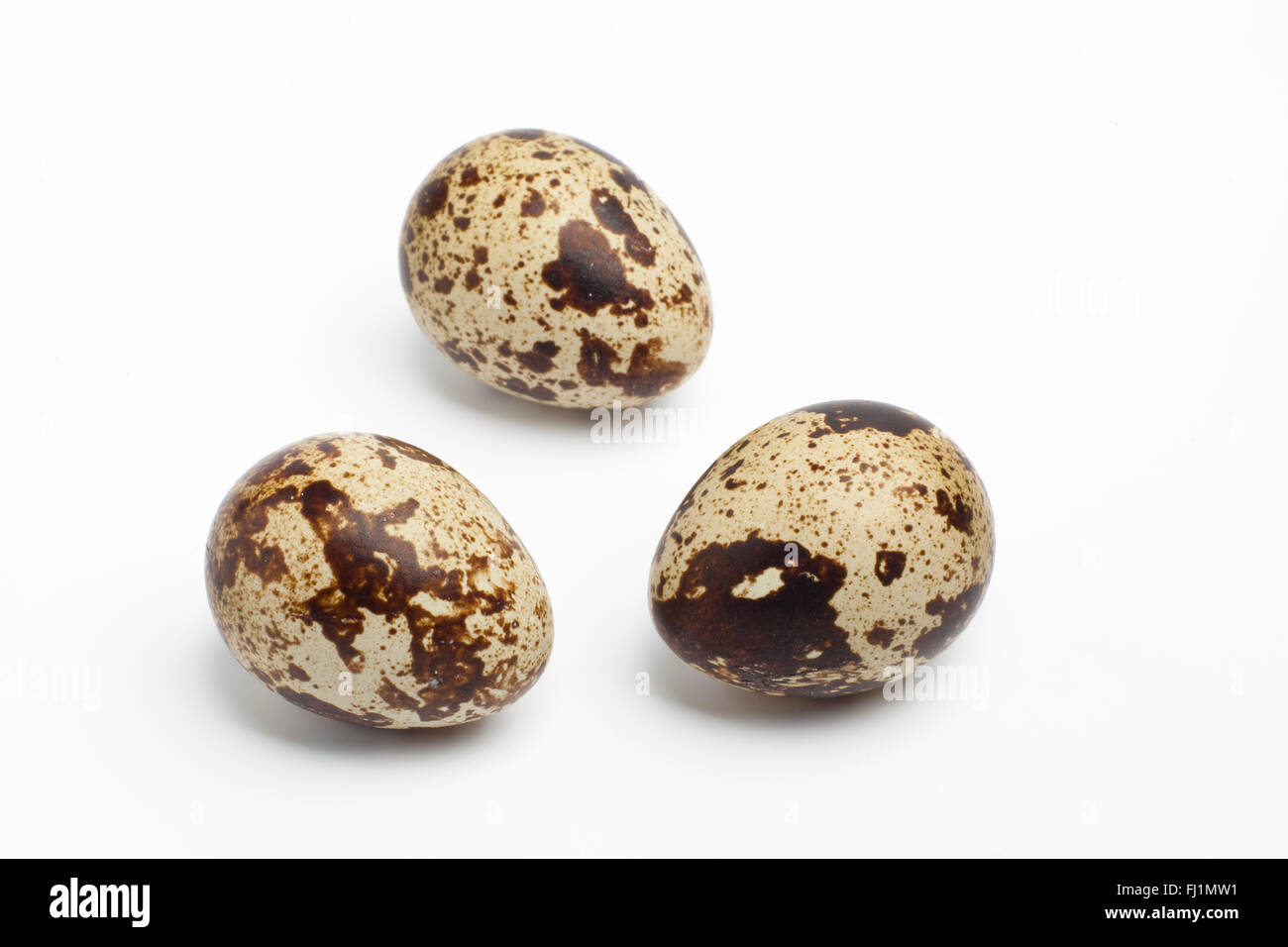 Drei frische ganze Wachtel Eiern auf weißem Hintergrund Stockfoto