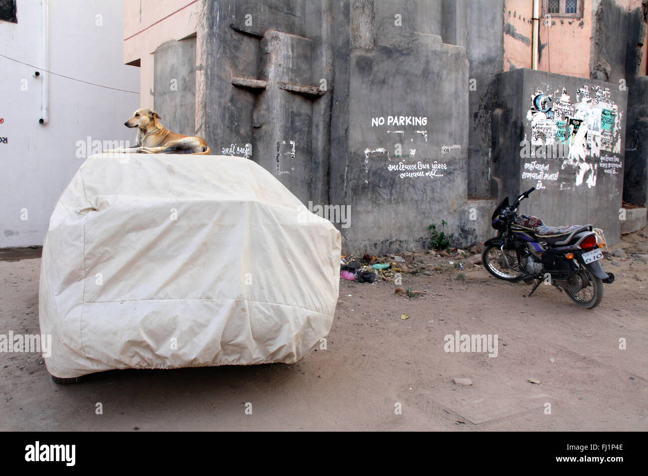 Auto bedeckt mit Hund auf dem Dach mit 'keine Parkplätze" schreiben in einer Straße von Bhuj, Gujarat, Indien Stockfoto