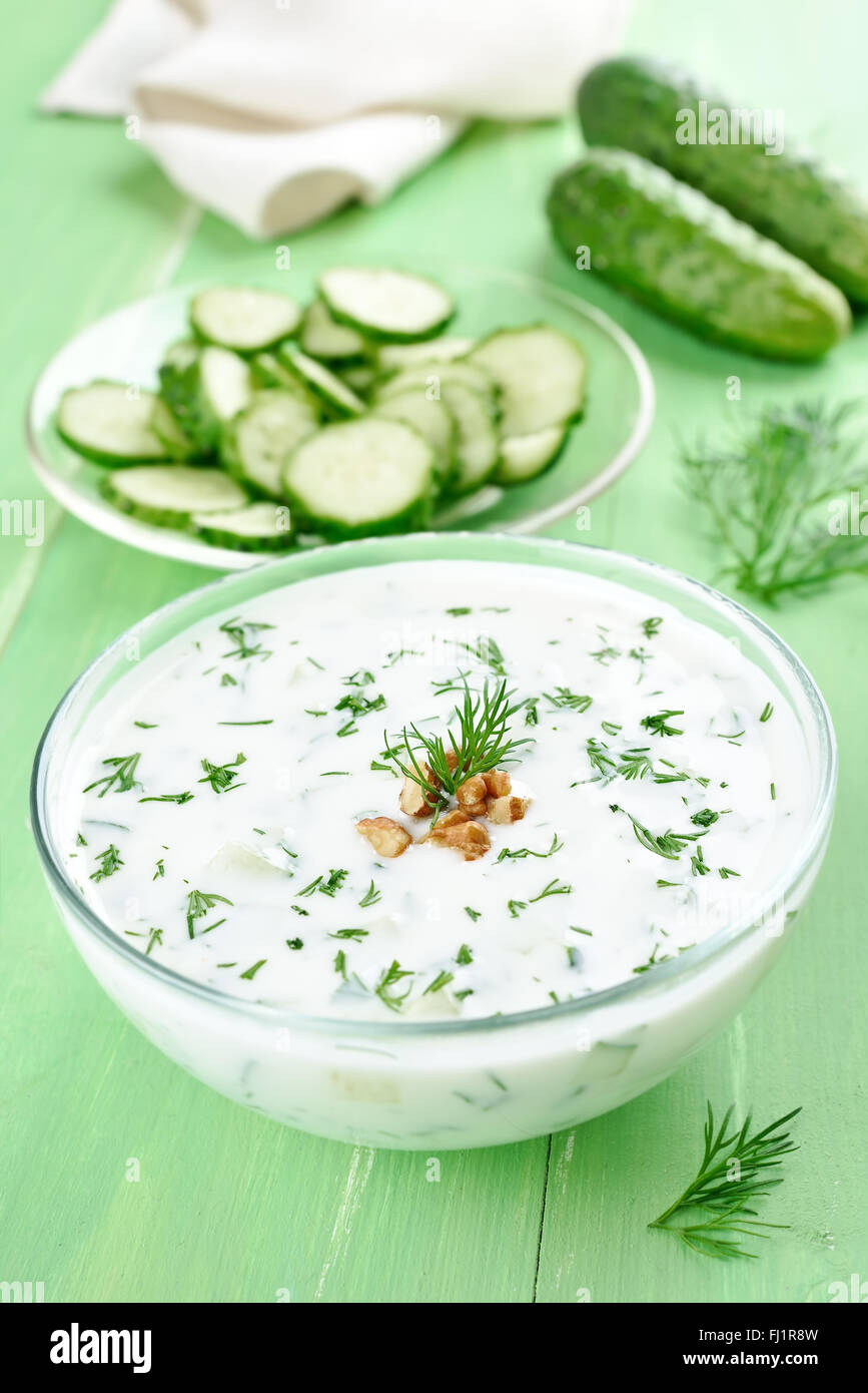 Sommer Suppe Tarator mit Joghurt, Gurken, Dill und Walnuss Stockfoto