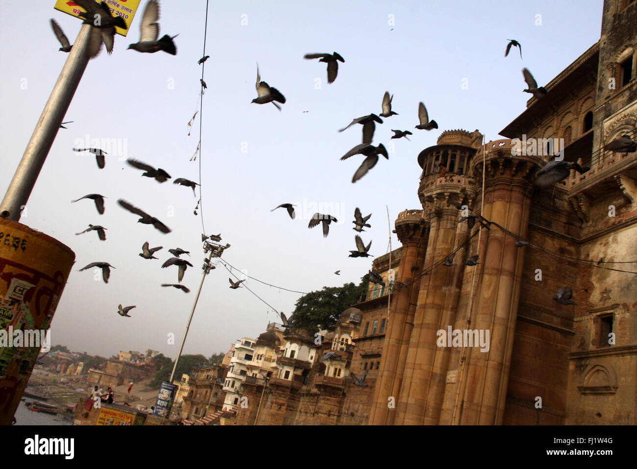 Vögel Tauben, Krähen fliegen Ion ein GHAT von Varanasi, Indien Stockfoto