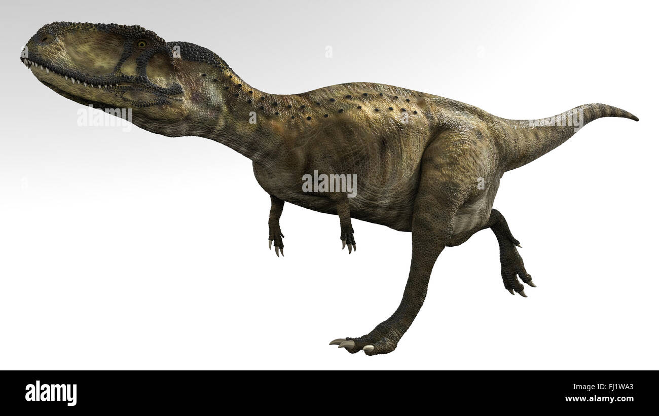 Abelisaurus ist eine Gattung des räuberischen abelisauriden Theropoden-Dinosauriers, der in der späten Kreidezeit lebt Stockfoto