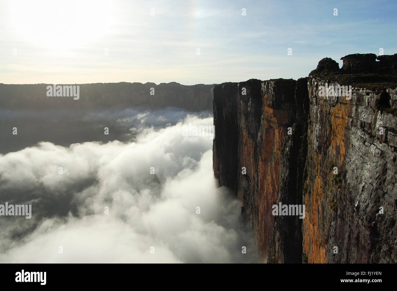 Mount Roraima - Venezuela Stockfoto