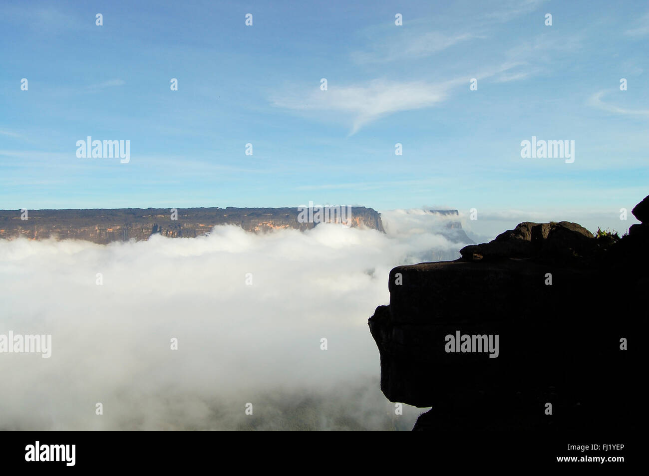 Mount Roraima - Venezuela Stockfoto