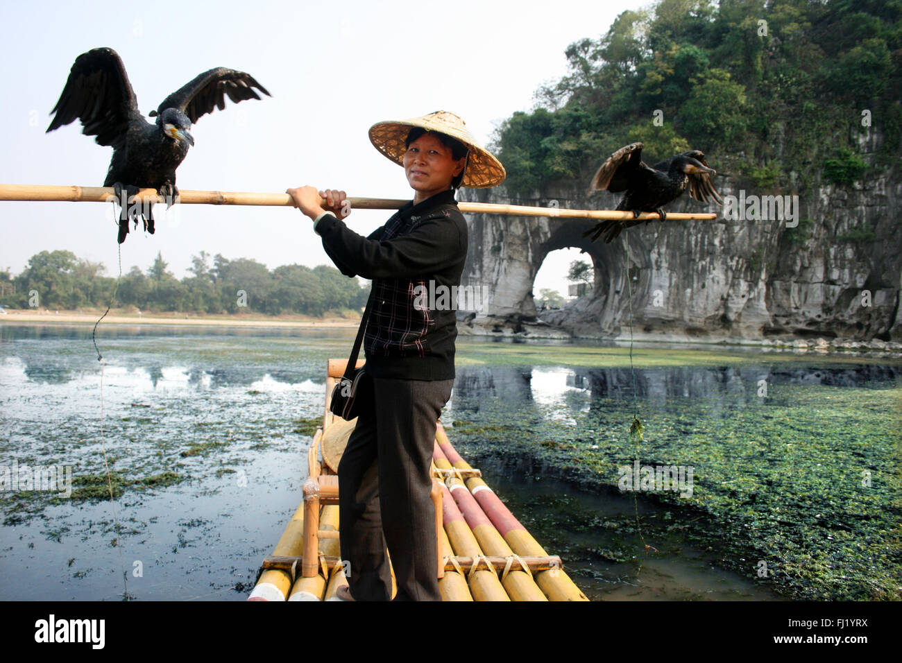 Kormoran Fischen Frau an Elephant Rock, Guilin, China Stockfoto