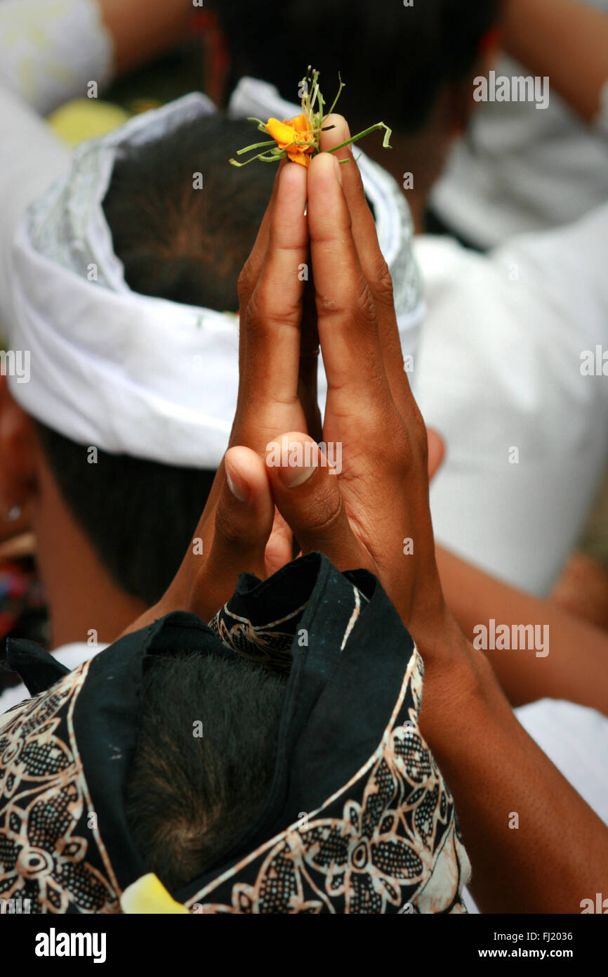 Hände von einem Mann mit Blume während Kuningan Hindu Feier in Ubud, Bali, Indonesien zu beten Stockfoto