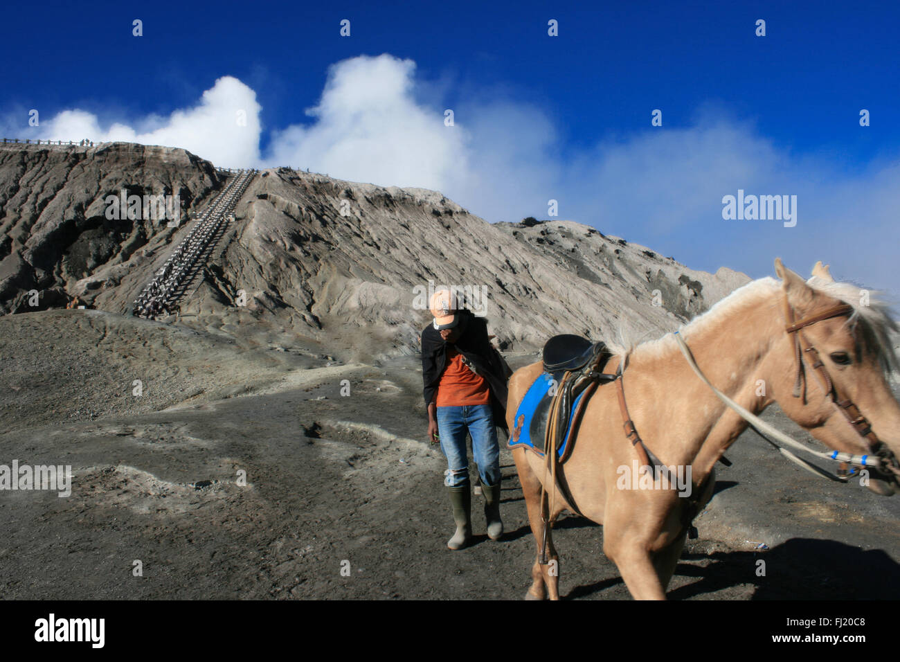 Mann mit Pferd, in der Nähe von Mount Bromo, Java, Indonesien Stockfoto