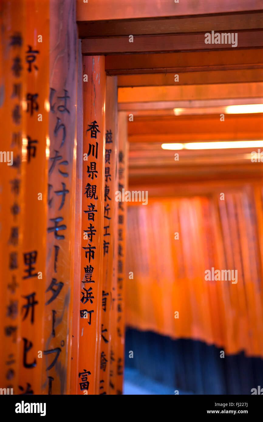 Fushimi Inari Schrein, Kyoto, Japan Stockfoto