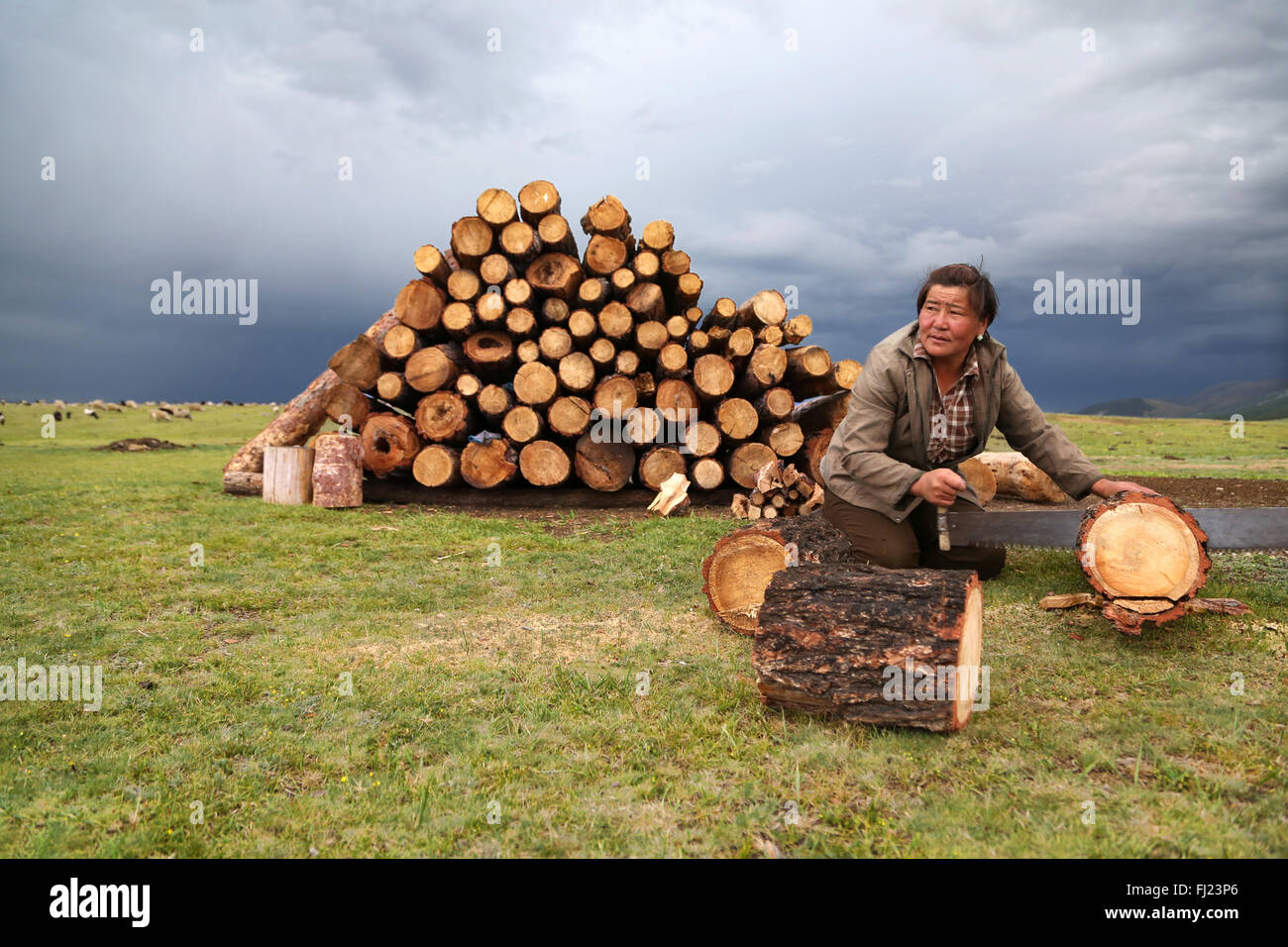 Mongolin Schneiden von Holz im Camp vor der Nacht Stockfoto
