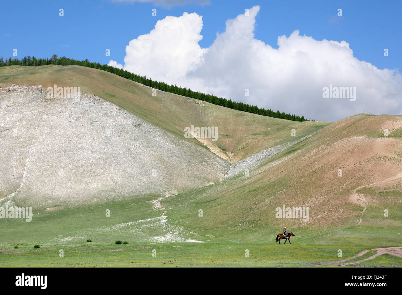 Mongolei atemberaubende Landschaften aus total grün und Leere Stockfoto