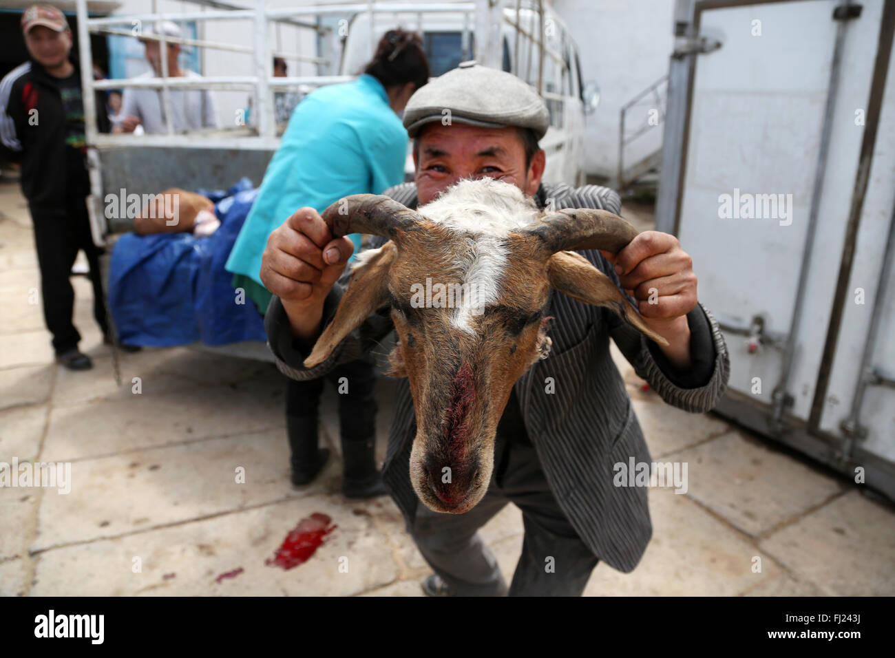 Mann zeigt tote Ziege Gesicht enthauptet in der moron Markt, Mongolei Stockfoto