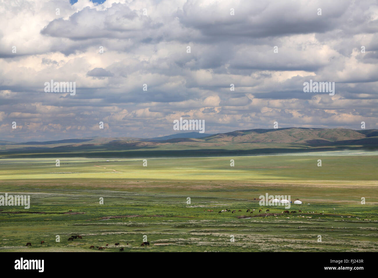 Mongolei atemberaubende Landschaften aus total grün und Leere Stockfoto