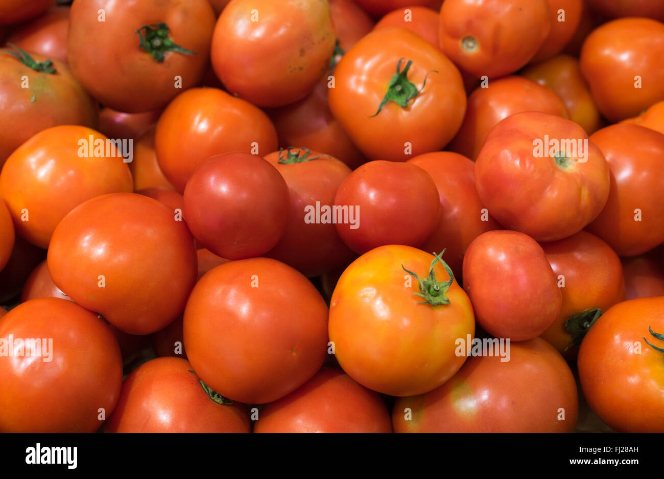 Rote Tomaten haufen Hintergrund, mit Freistellungspfaden. Obst, Gemüse, gesunde Ernährung, oder frische Markt Konzept Stockfoto