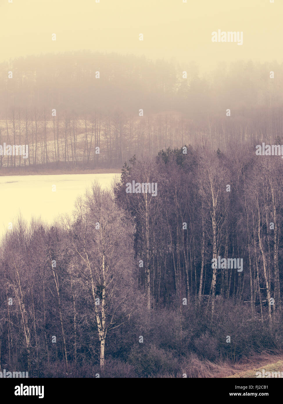 Natur, Herbst oder Winter-Landschaft. Landschaft anzeigen frostigen hügeligen Felder mit Bäumen bedeckten nebligen Tag Stockfoto