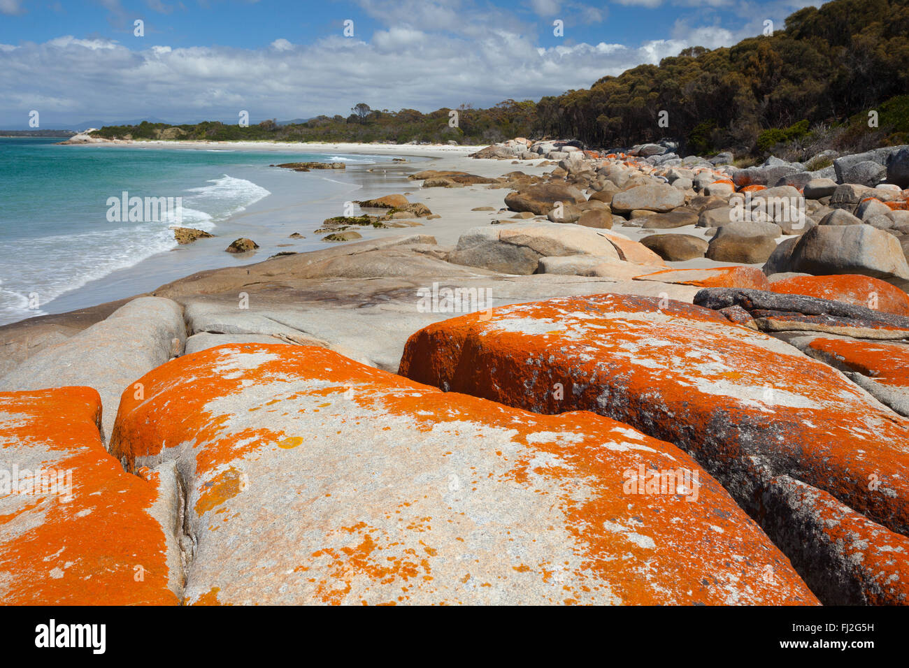 Felsige Küste in der Nähe von Binalong Bay - Tasmanien - Australien Stockfoto