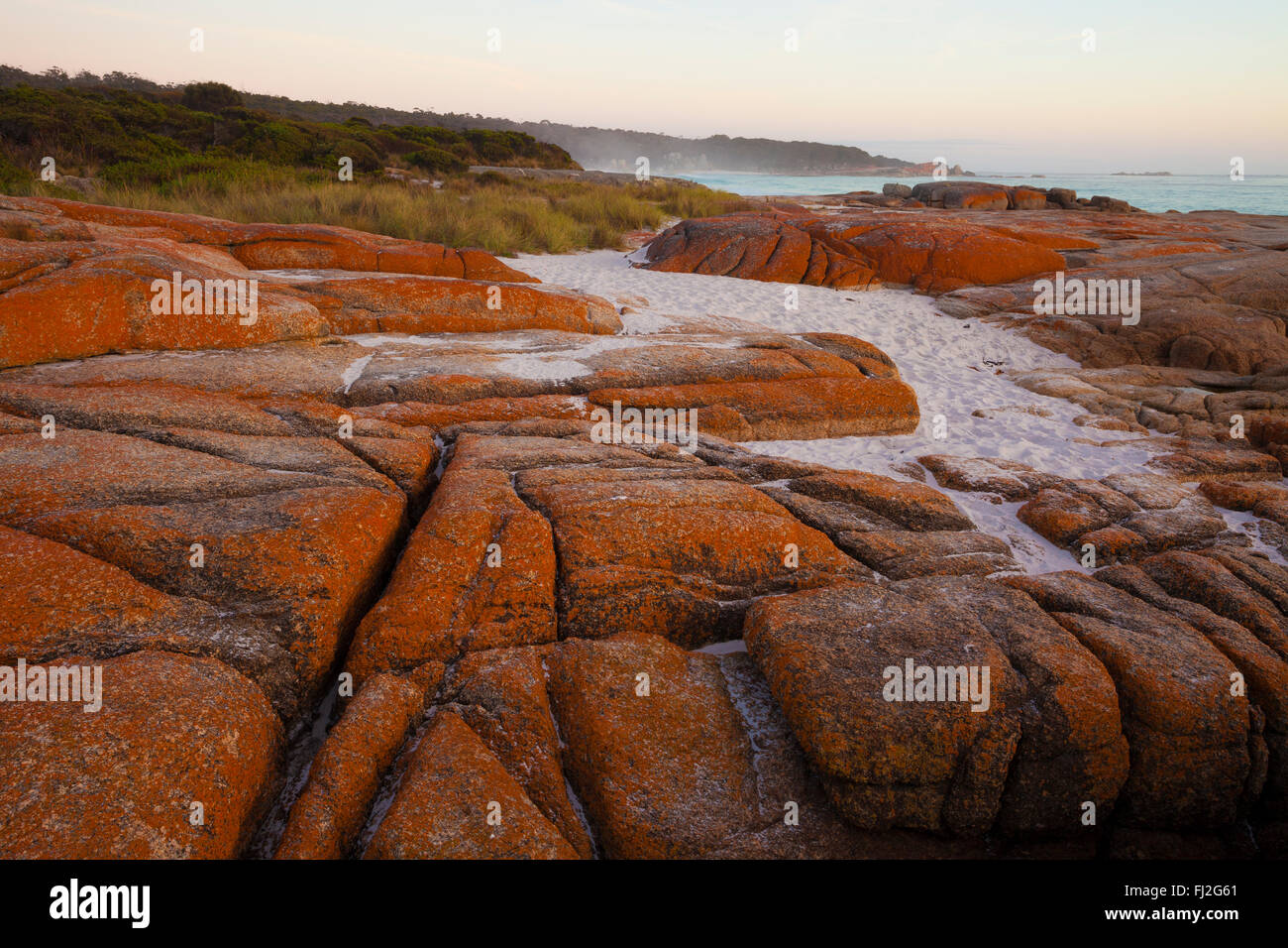 Bay of Fires - Tasmanien - Australien Stockfoto