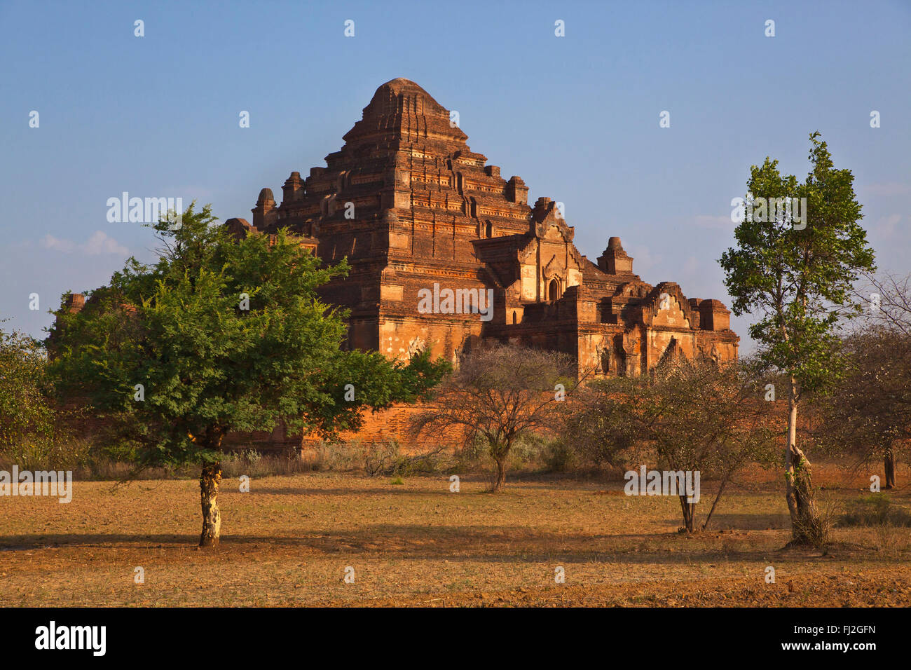 Im 12. Jahrhundert DHAMMAYANGYI PAHTO oder Tempel ist der größte in BAGAN und wurde wahrscheinlich von Narathu - MYANMAR Stockfoto