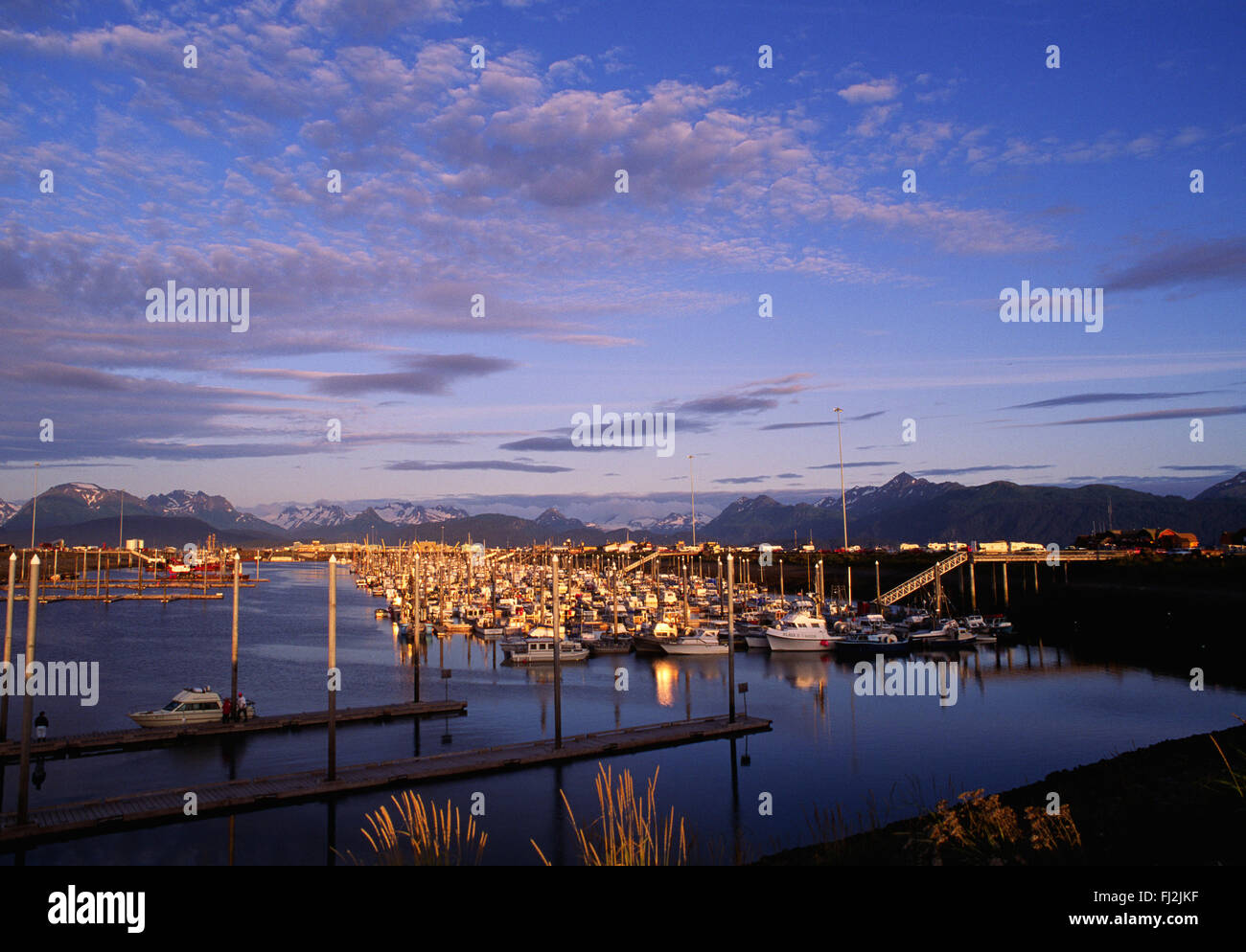 Boote drängen sich der Hafen von HOMER, ALASKA Stockfoto