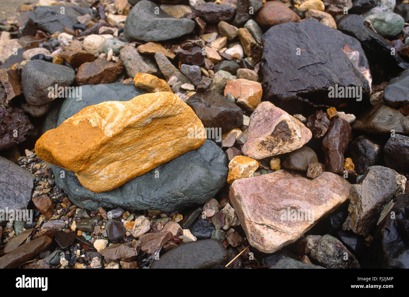Natürlich entfallen vorkommenden Mineralien auf die bunten FLUSSSTEINE im Bereich POLYCHROME - DENALI Nationalpark, ALASKA Stockfoto