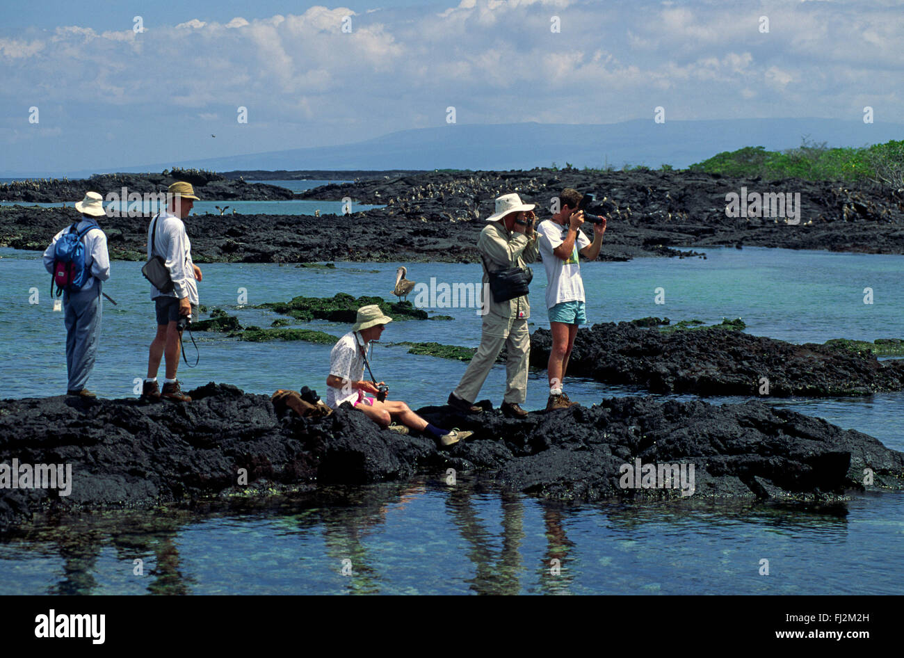 Touristen erhalten einen guten Einblick in die Tierwelt von LAVA SPUCKT - ISLA ISABELLA, GALAPAGOS-Inseln, ECUADOR Stockfoto