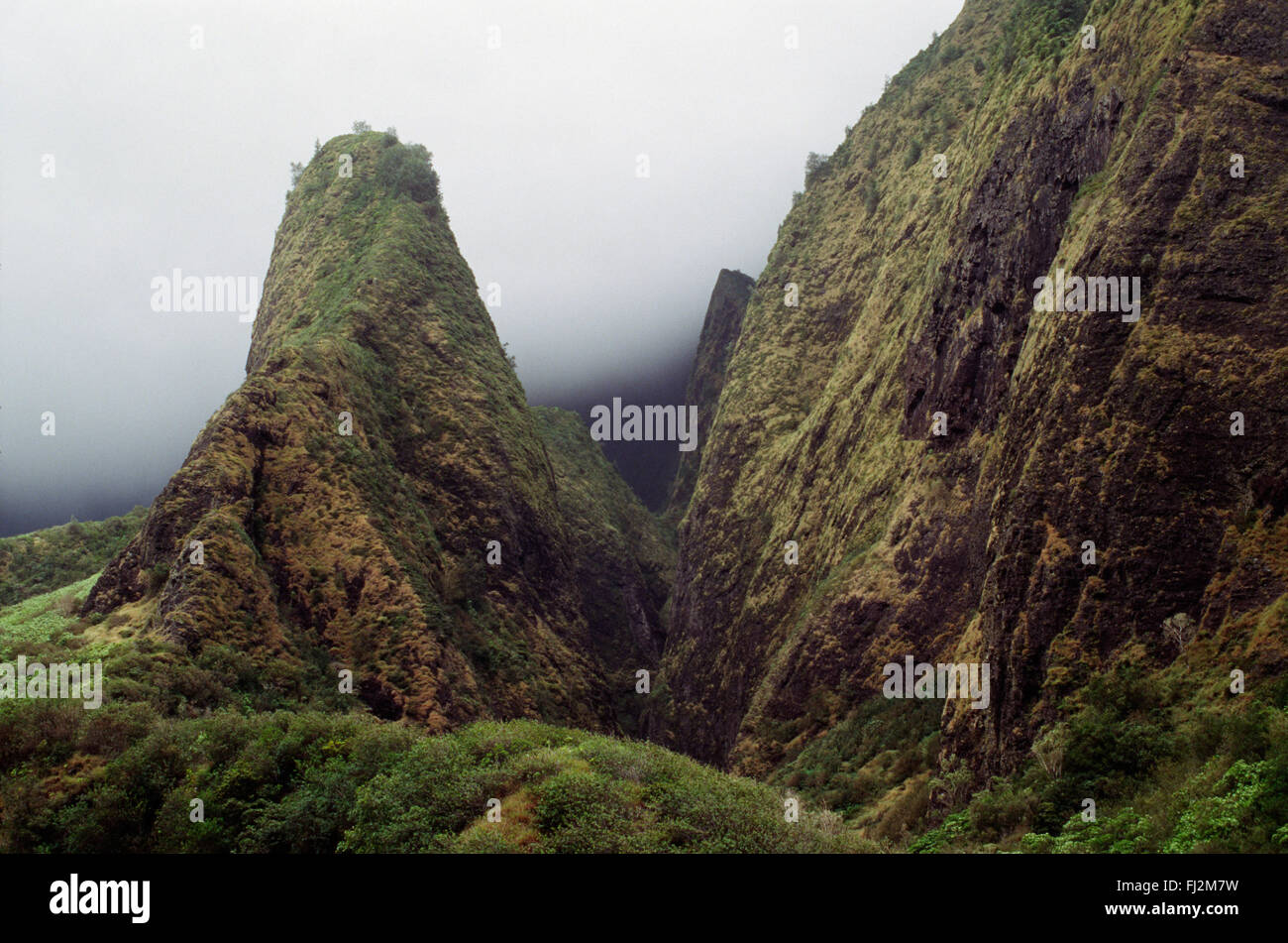 Die IAO NEEDLE erhebt sich mehr als 1200 Fuß über der IAO VALLEY - MAUI, HAWAII Stockfoto