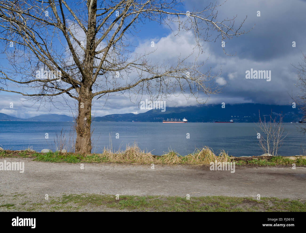 Gehen Sie Weg, Baum, Meer und Berge im Park von spanischen Banken Strand in Vancouver, BC im Winter. Stockfoto