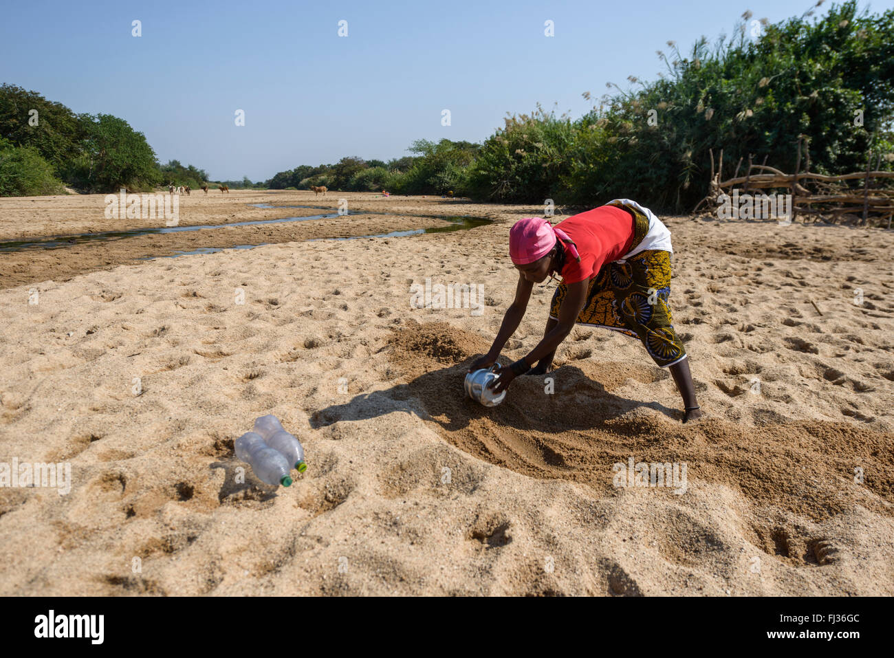 Auf der Suche nach Wasser, Angola, Afrika Stockfoto