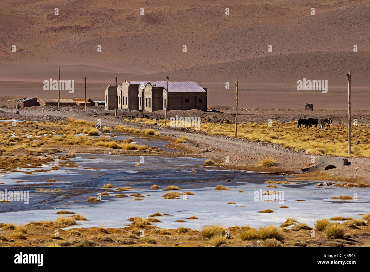 Santa Rosa de Los Pastos Grandesin Puna Wüste, Argentinien Stockfoto