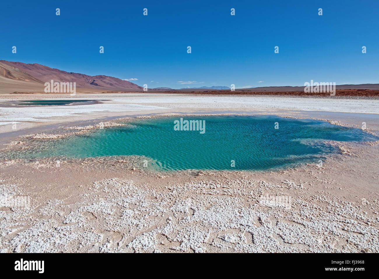 Ojo de Mar, Salar de Arizaro, Argentinien Stockfoto