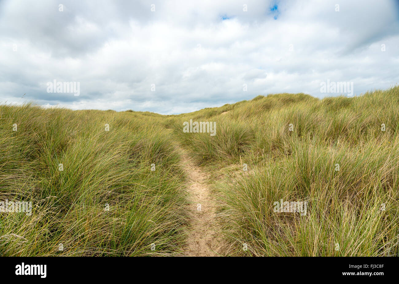 Sanddünen in Winterton am Meer, einem Naturschutzgebiet an der Küste von Norfolk Stockfoto