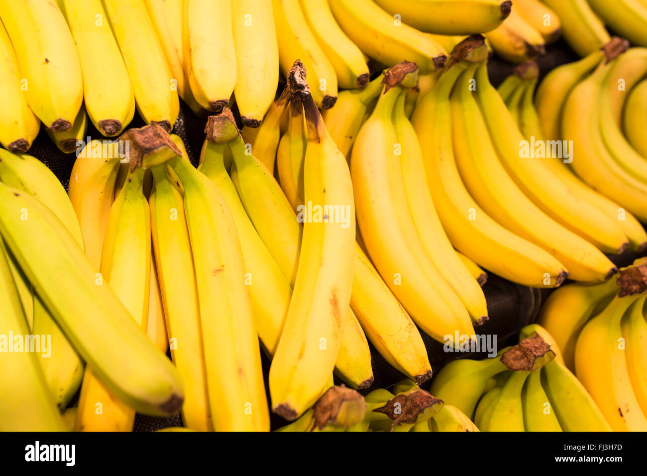 Bananenstauden in einem Supermarkt Stockfoto