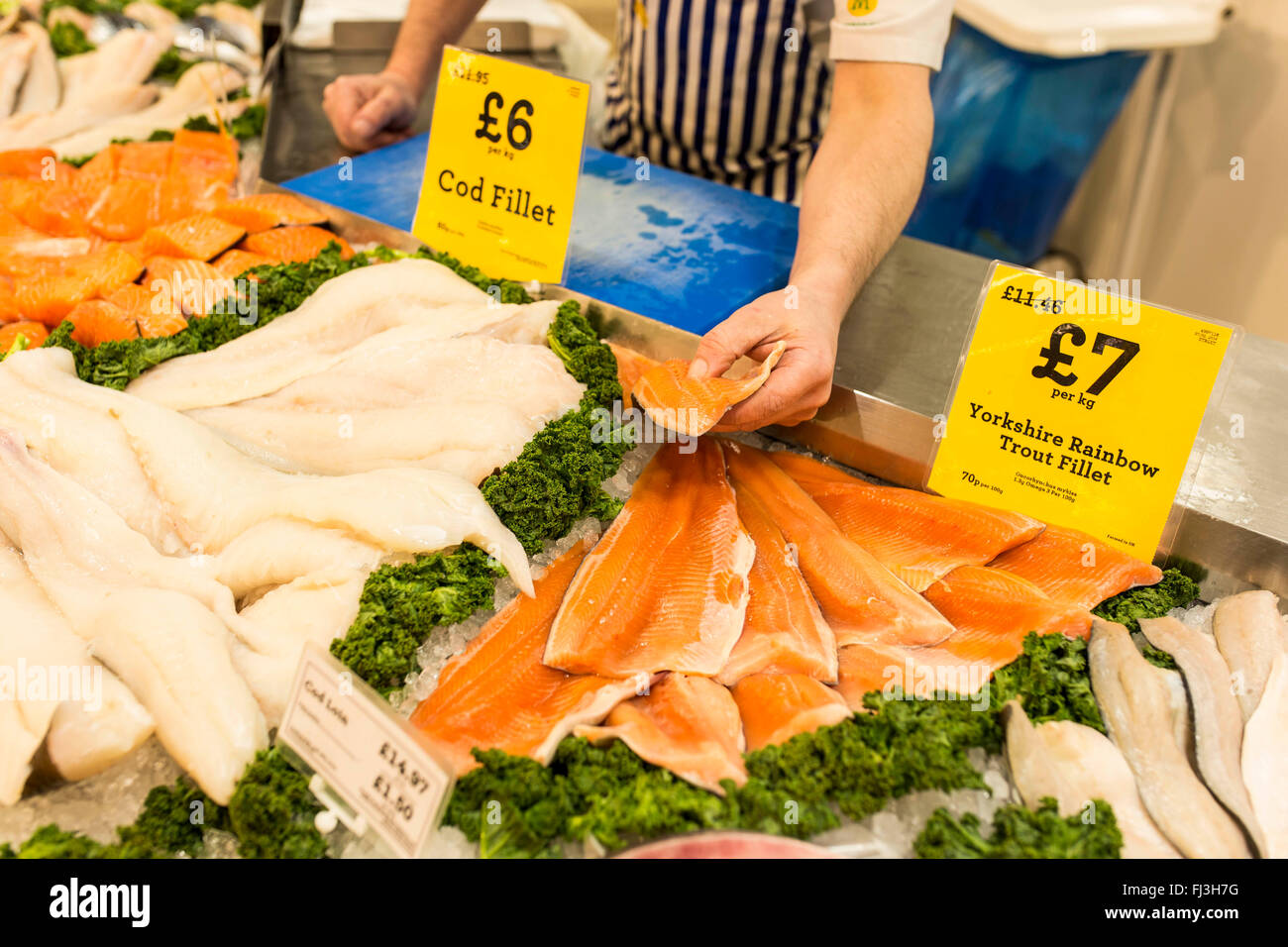 Fisch auf den Verkauf in einem Safeway-Supermarkt Stockfoto