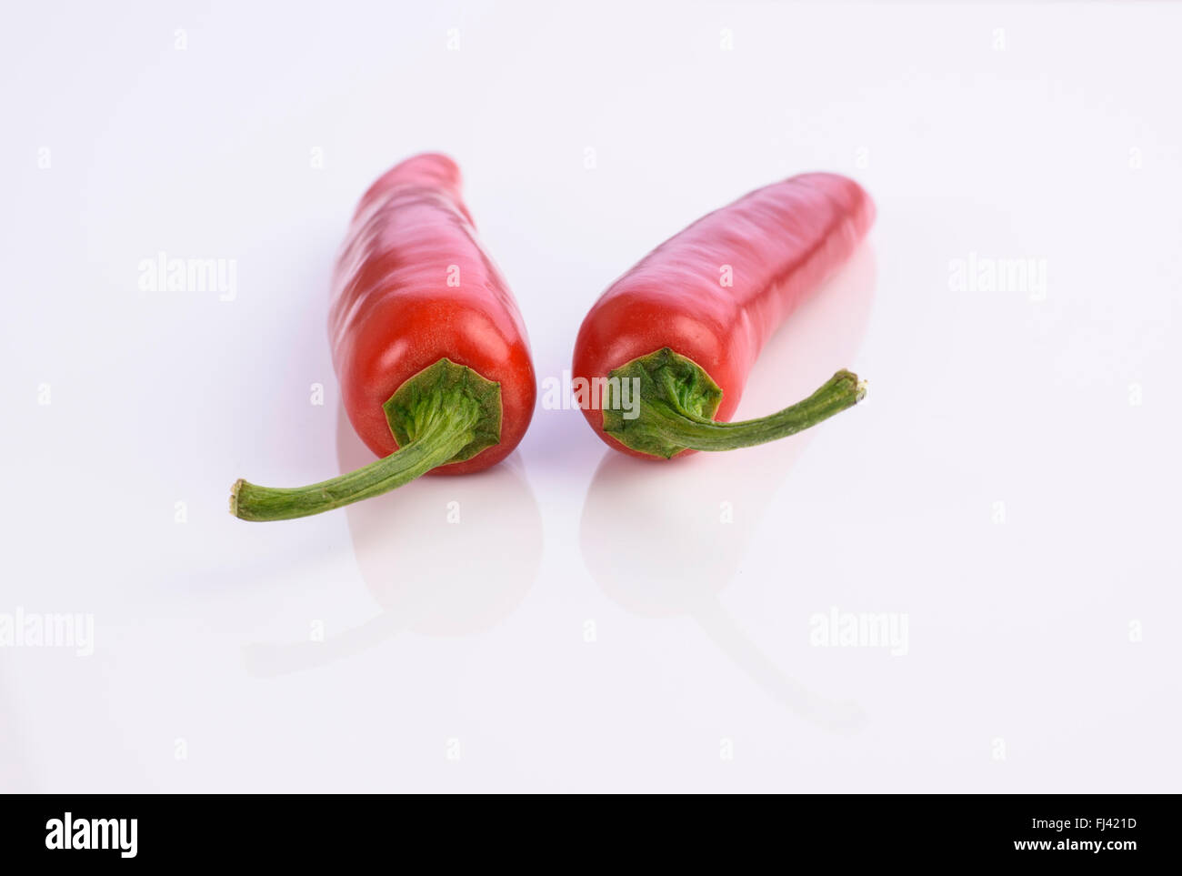 Zwei frische ganze Red Hot Chili auf weißem Hintergrund Stockfoto