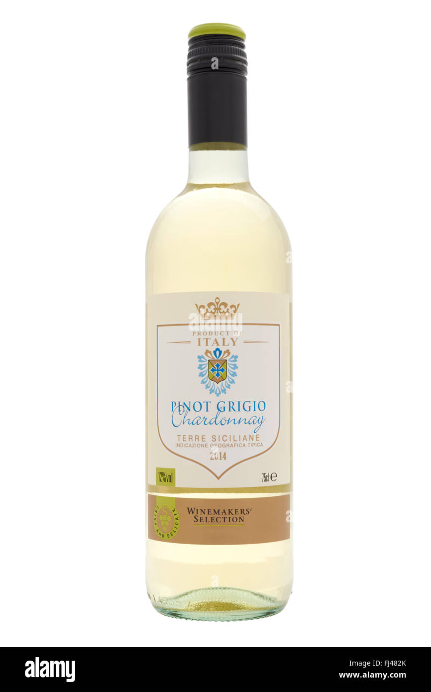 Flasche Wein Pinot Grigio Chardonnay weiß auf weißem Hintergrund Stockfoto