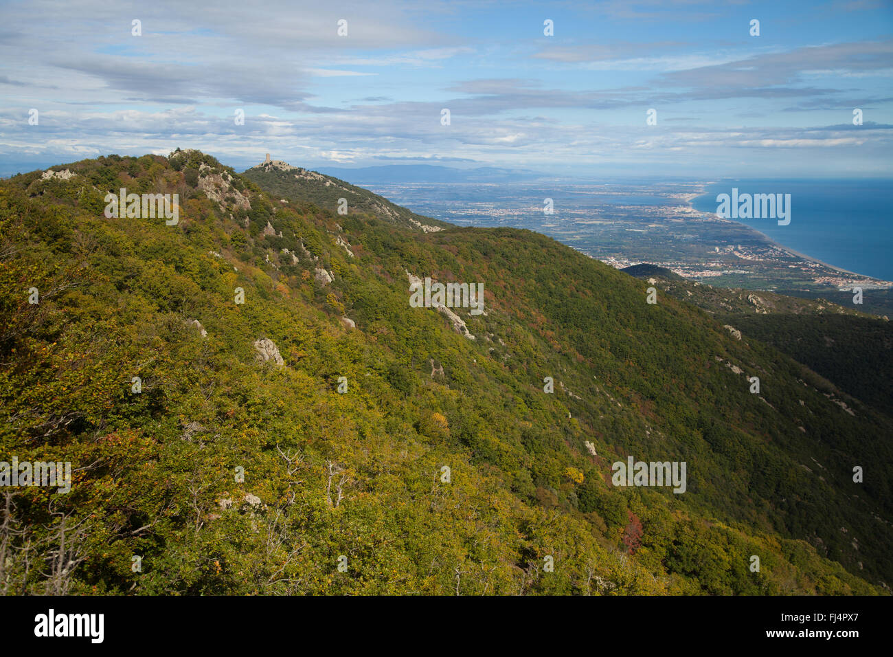 Sie blickte den bewaldeten Kamm des Pic de Sailfort in Richtung Argeles Sur Mer, Frankreich. Stockfoto
