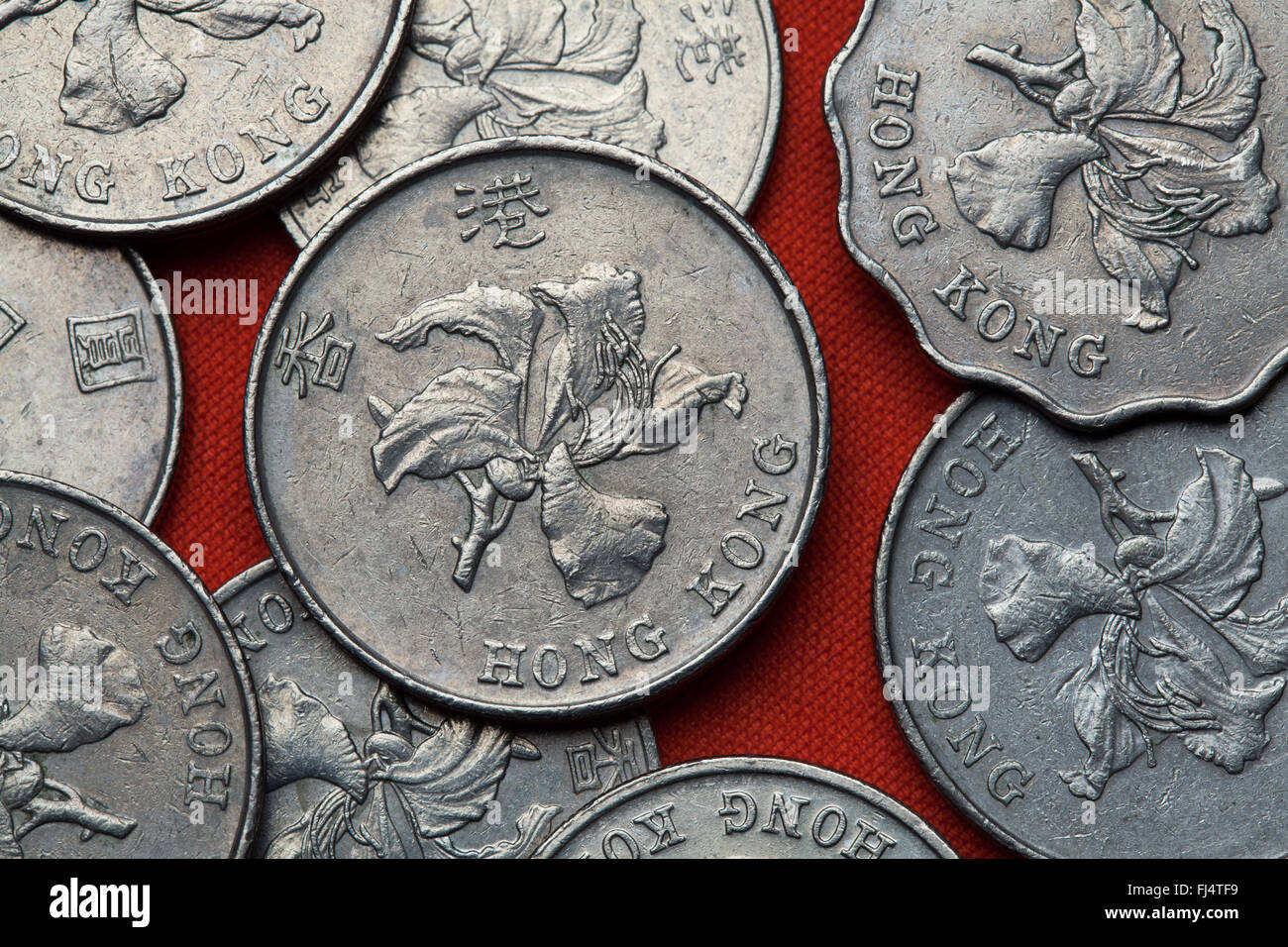 Münzen von Hong Kong. Blüten von Bauhinia Blakeana Orchidee auch bekannt als Hong Kong in Hong Kong-Dollar-Münzen abgebildet. Stockfoto