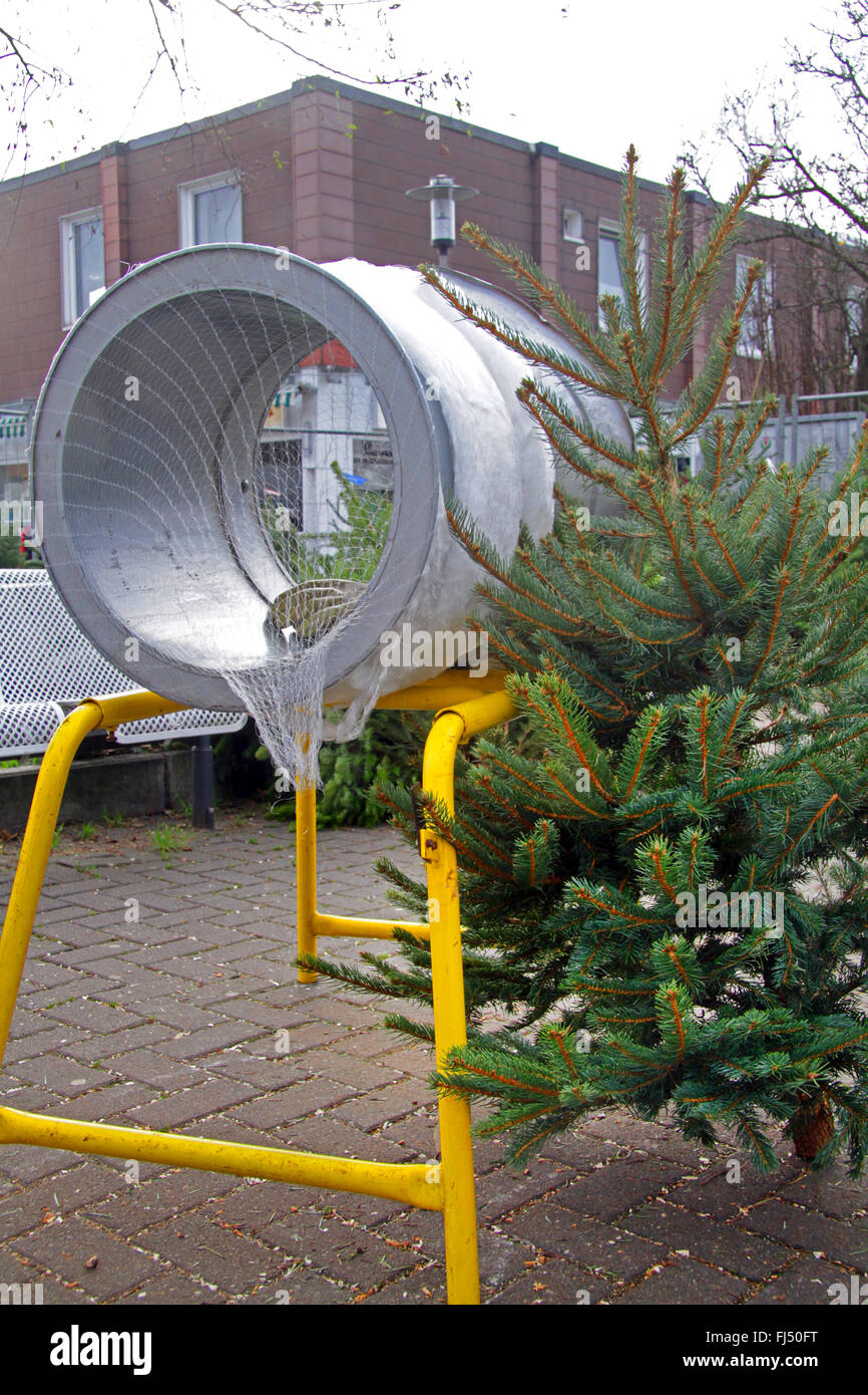 Weihnachtsbaum-Netting-Maschine, Deutschland Stockfoto