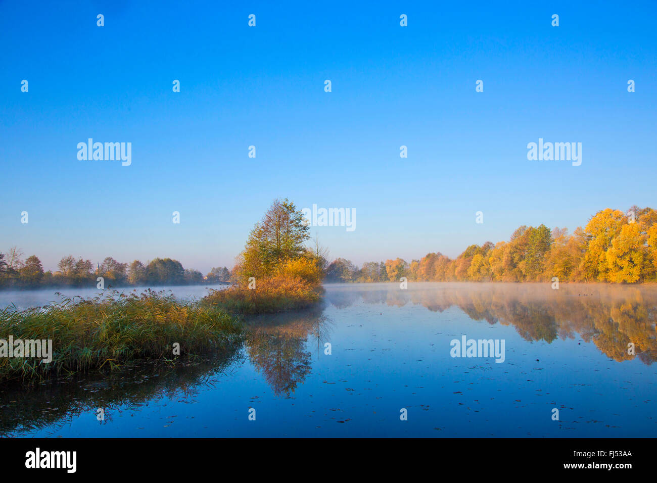 Nebel über einen Teich im Herbst, Deutschland, Bayern, Niederbayern, Niederbayern, Atting Stockfoto