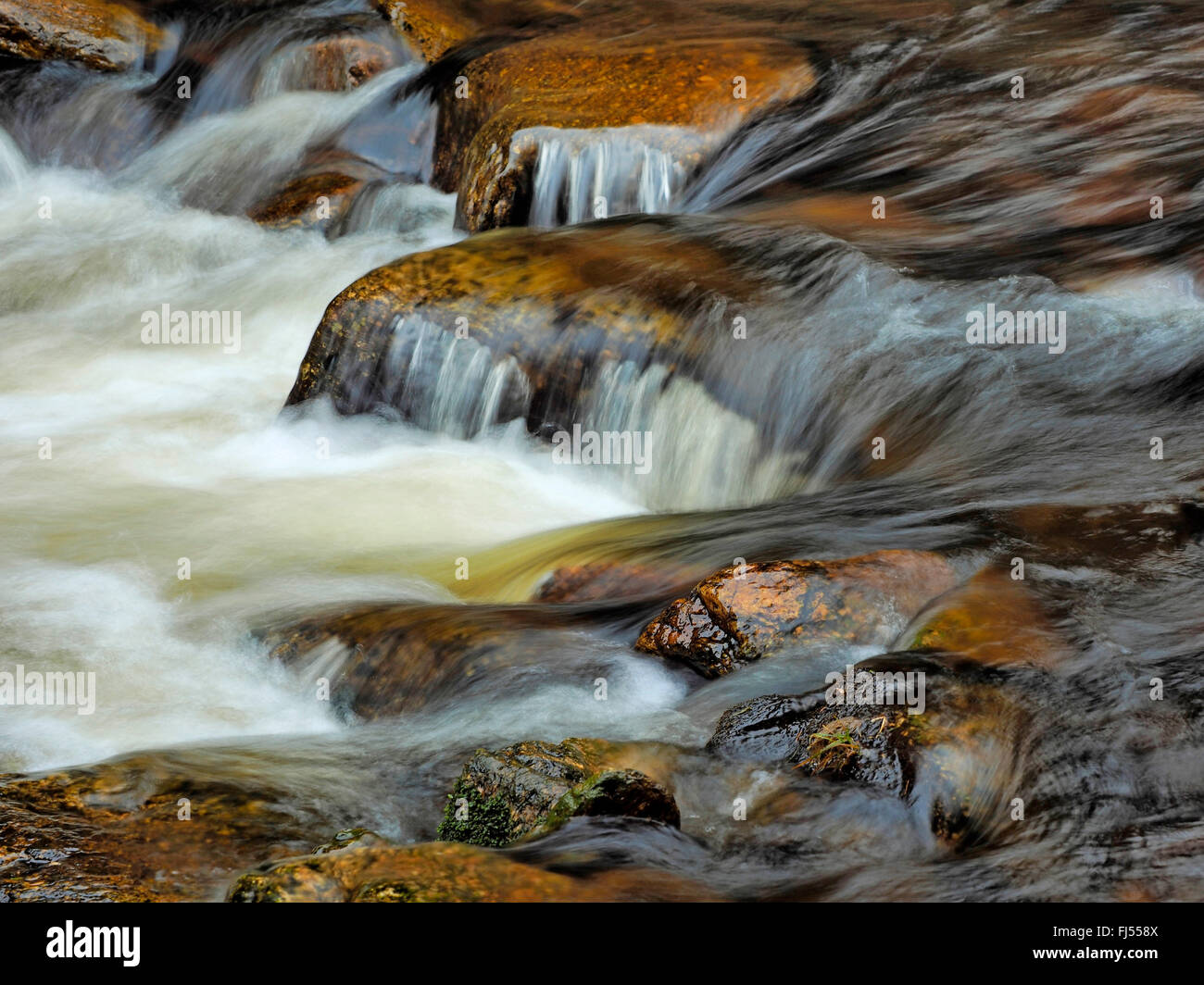 fließendes Wasser in felsigen Bucht, Schwarzwassertal, Erzgebirge, Sachsen, Deutschland Stockfoto