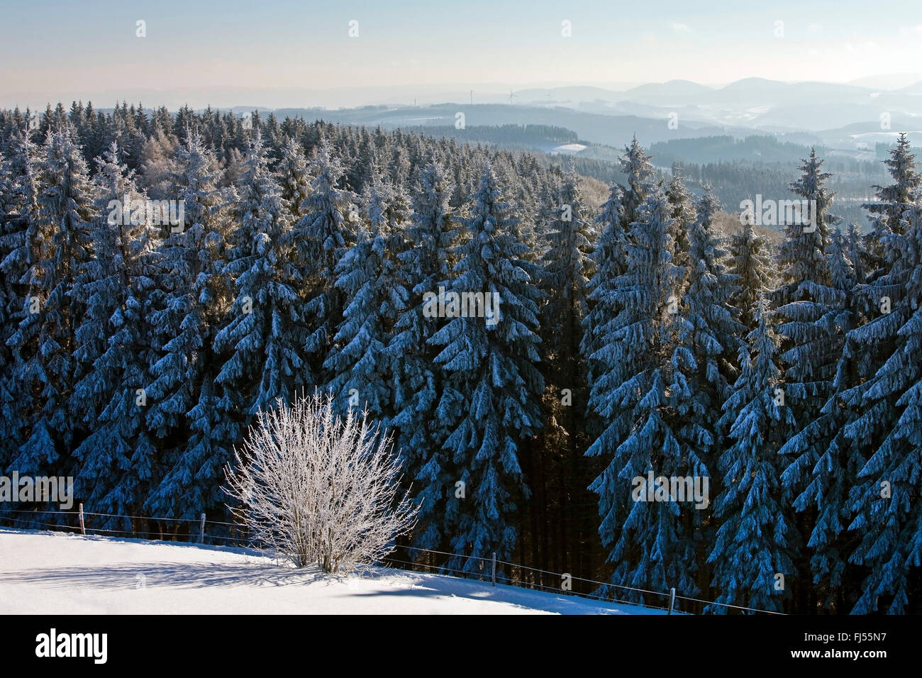 verschneite Landschaft von Wildewiese, Deutschland, Nordrhein-Westfalen, Sauerland, Sundern Stockfoto