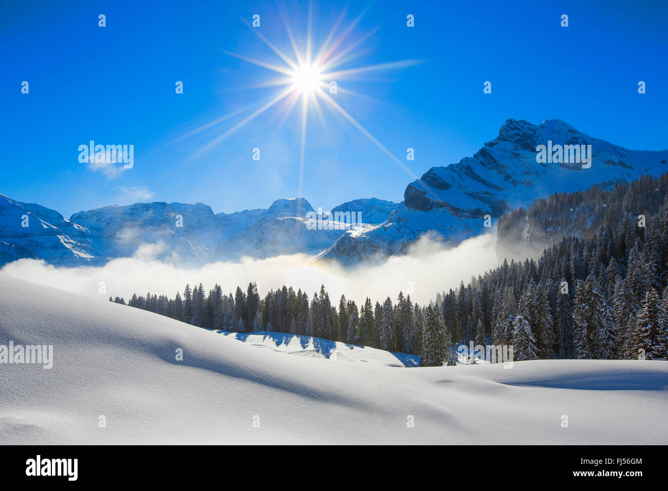 Ortstock und Tödi in den Walliser Alpen, Schweiz Stockfoto