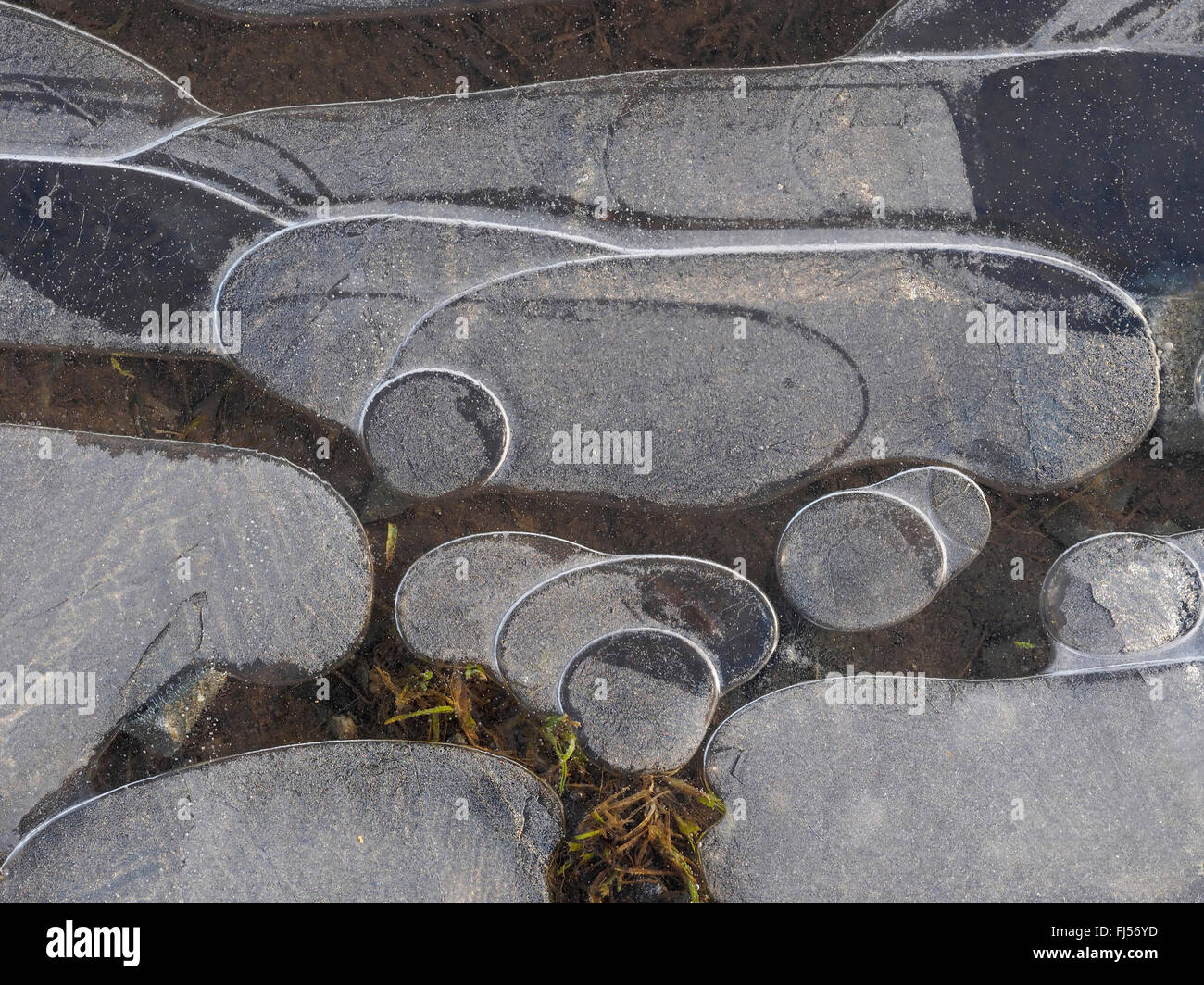 gefrorene Pfütze, Italien, Aosta Stockfoto