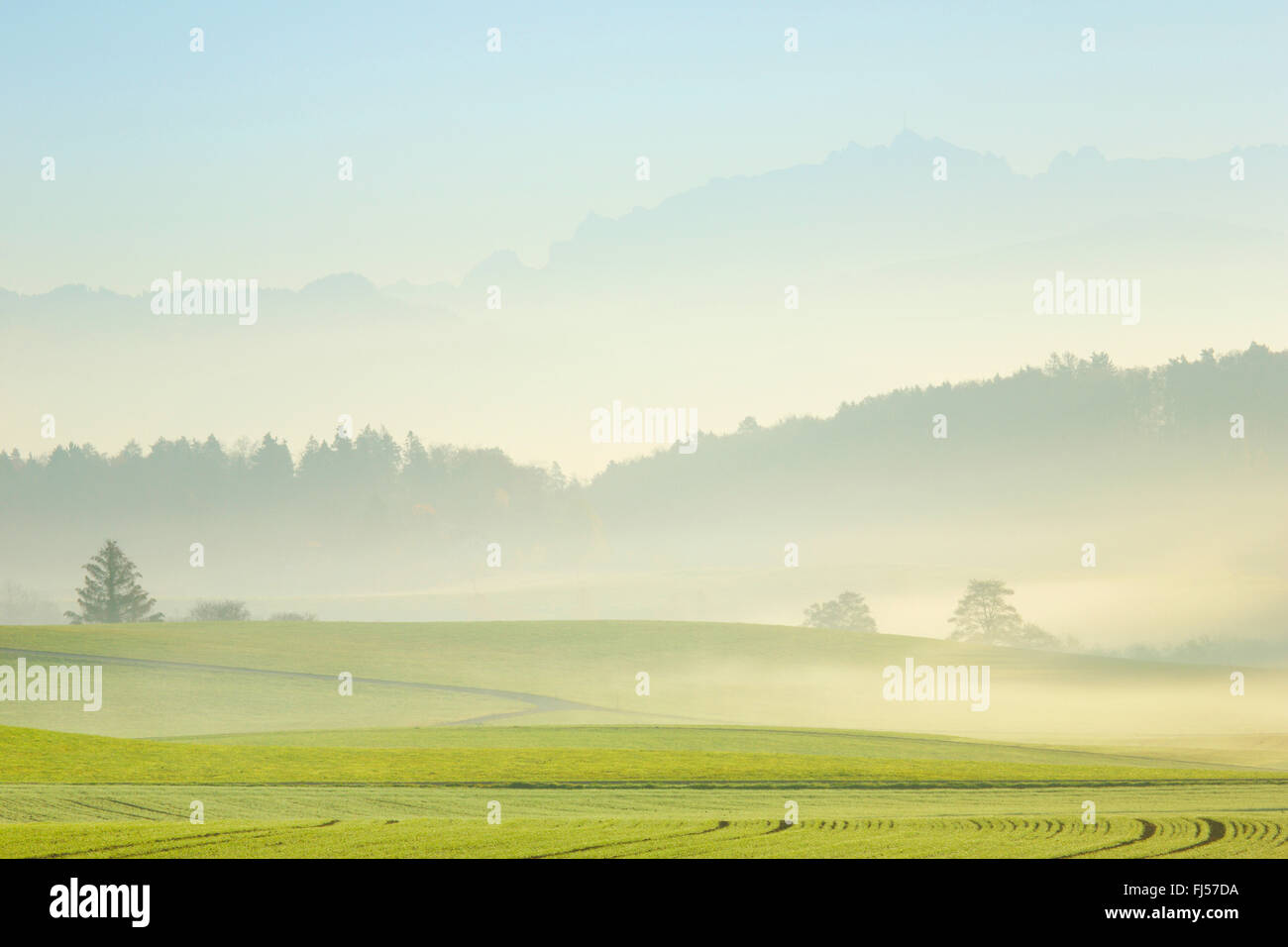 Saentismassif, Schweiz, Zuercher Oberland, Appenzell Stockfoto