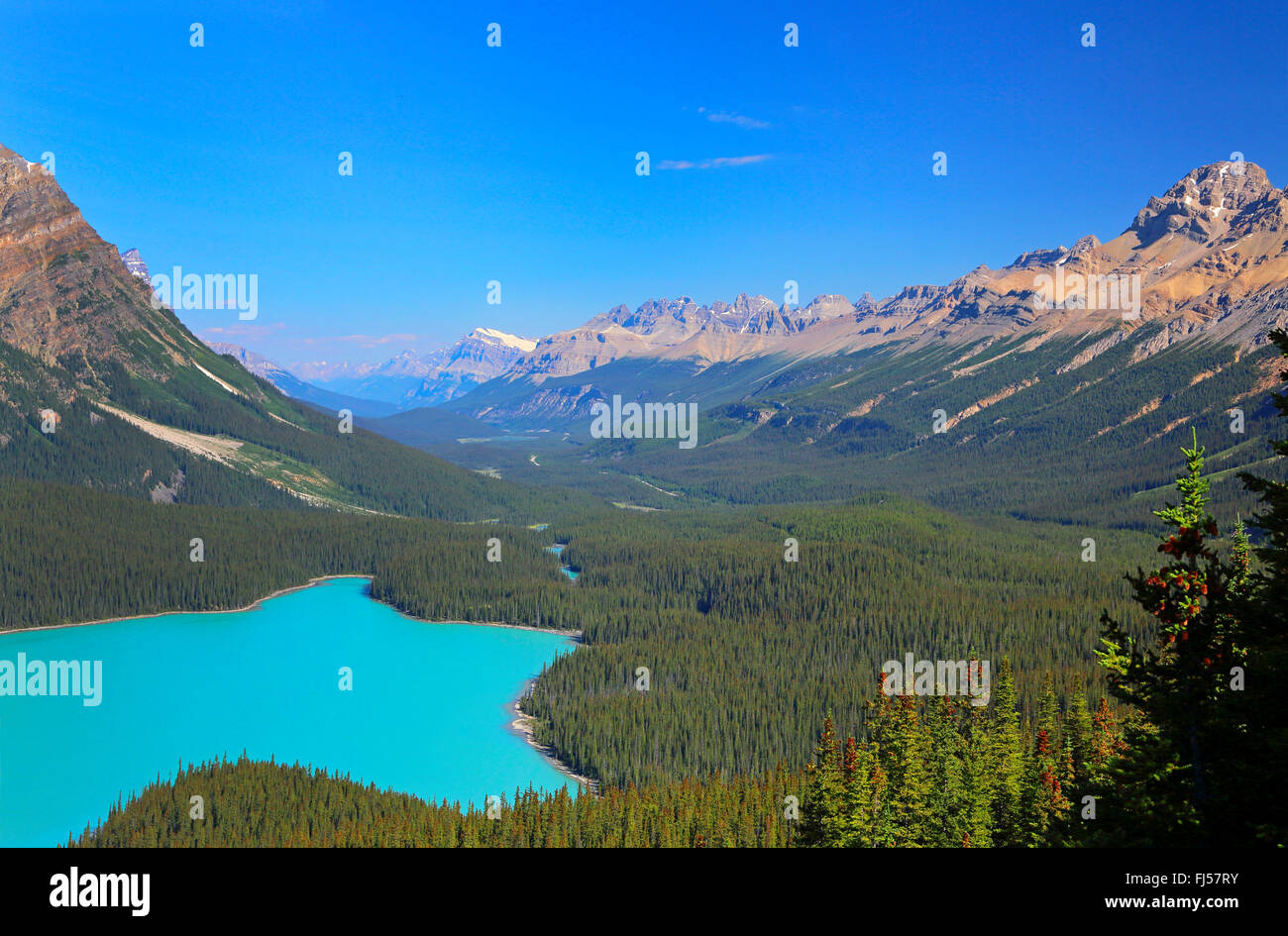 Peyto Lake mit türkisblauem Wasser, Rocky Mountains, Banff Nationalpark, Alberta, Kanada Stockfoto