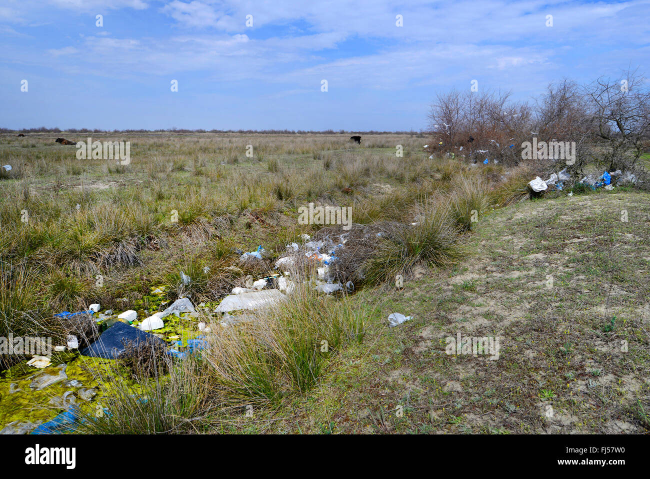 Umweltverschmutzung im Donaudelta, Rumänien, Dobrudscha, Donaudelta, Biosphaerenreservat SfÔntu Gheorgh Stockfoto