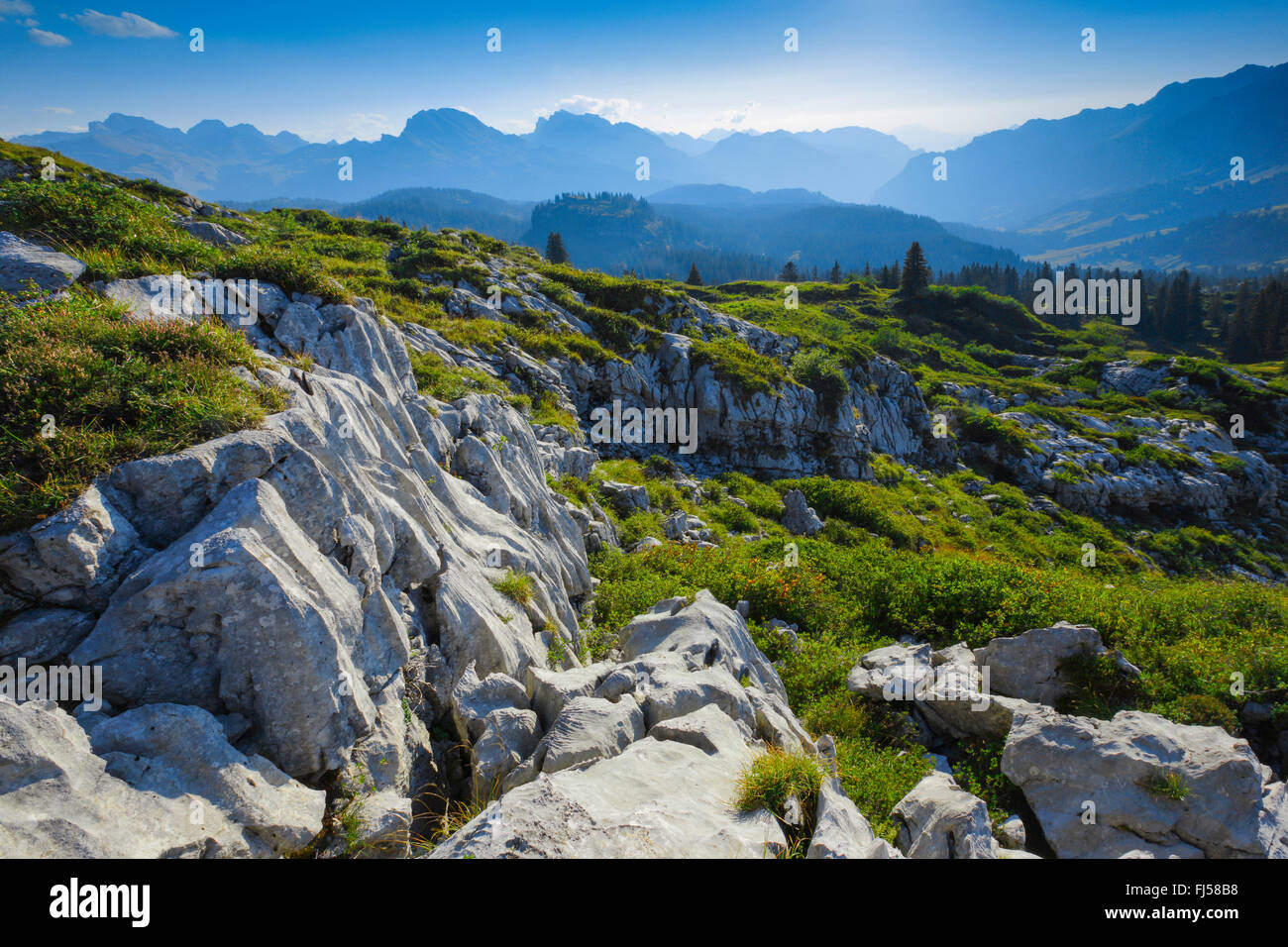 Karstlandschaft am Pragelpass, Schweiz, Berner Alpen Stockfoto