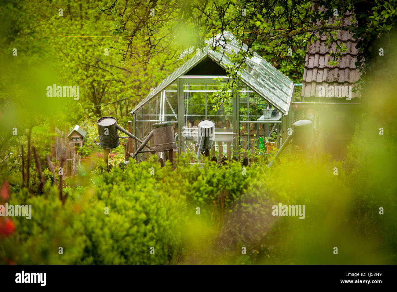 Gewächshaus für den Gemüseanbau im Garten, Deutschland, Rheinland-Pfalz Stockfoto
