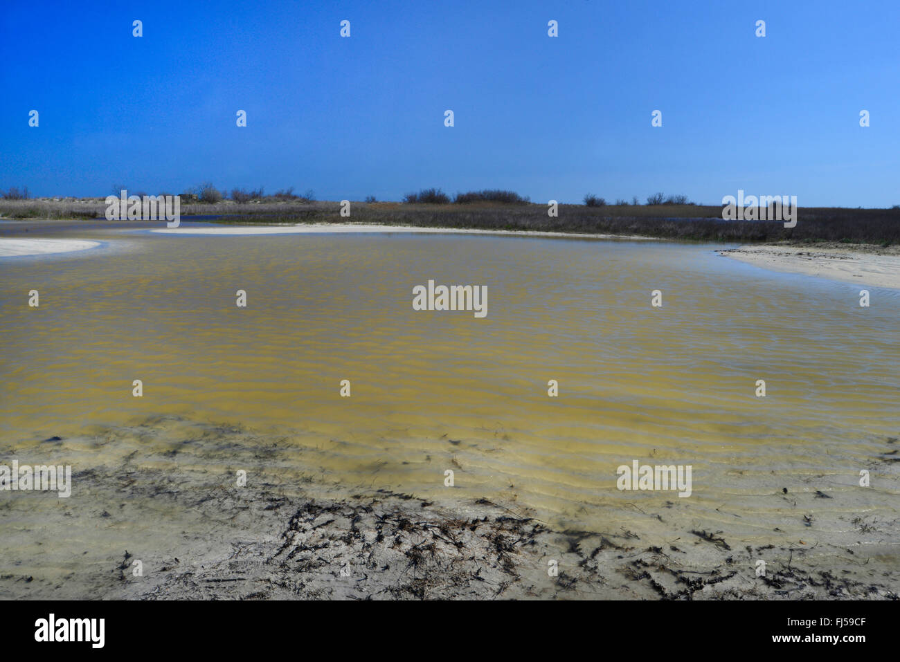 Seichtem Wasser Teich nach einem Hochwasser in den Dünen des Donaudelta, Rumänien, Dobrudscha, Donaudelta, Biosphaerenreservat SfÔntu Gheorgh Stockfoto