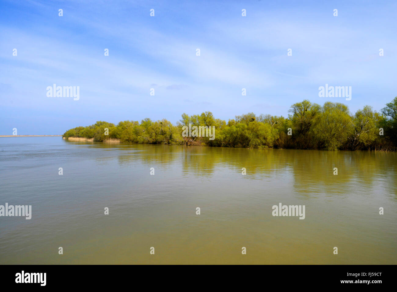 Donau Mund bis zum Schwarzen Meer, Rumänien, Dobrudscha, Donaudelta, Biosphaerenreservat SfÔntu Gheorgh Stockfoto