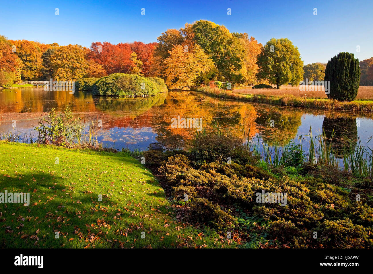 ChÔteau Park von Schloss Anholt im Herbst, Deutschland, Nordrhein-Westfalen, Münsterland, Isselburg-Anholt Stockfoto